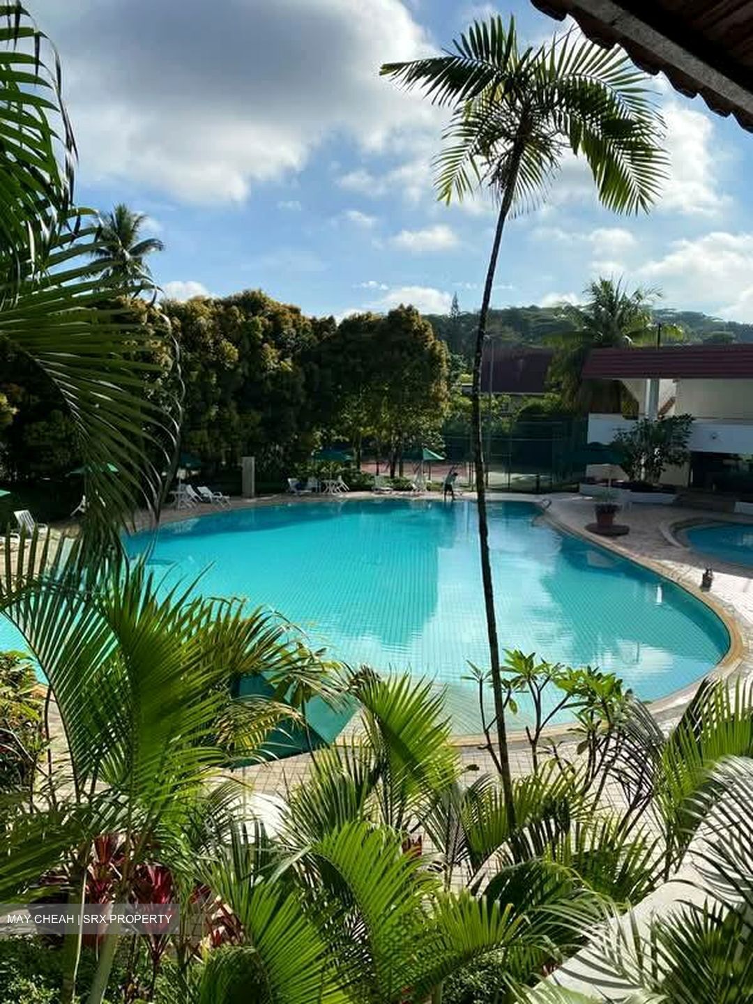 Clementi Park (D21), Condominium #604954751